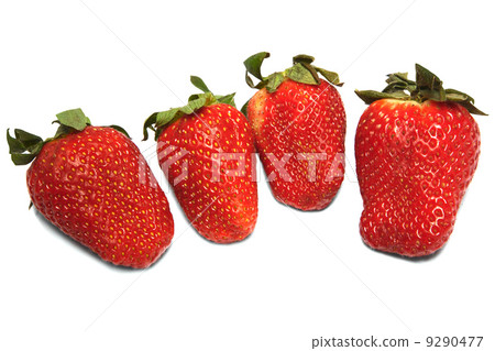 Fresh and ripe strawberry 9290477