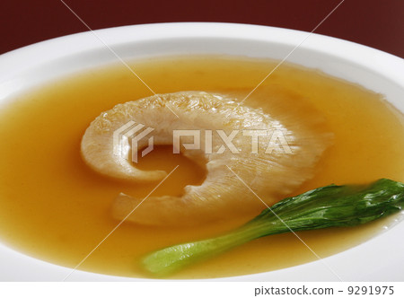 鯊魚鰭 鯊魚鰭 9291975