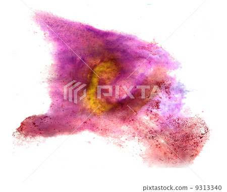 purple, brown macro spot blotch texture isolated on a white back 9313340