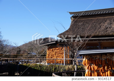 12月實際玉米·草家04幹玉米 12月實際玉米·草家04幹玉米 9314517