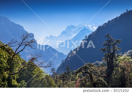 Beautiful landscape in Himalays 9315202