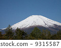 Fuji 1 9315587