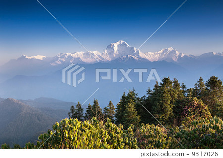 Panorama of Himalaya mountains 9317026