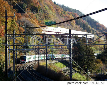 Limited express Azusa E257 series small buddha Limited express Azusa E257 series small buddha 9318150