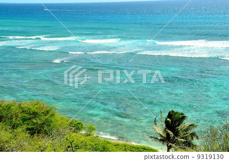Holidays in Hawaii Holidays in Hawaii 9319130