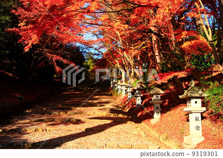 神社的方法包裹在秋葉 神社的方法包裹在秋葉 9319301