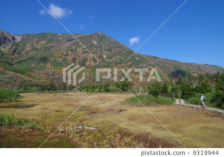 Tsugaike Takahara Tsugaike Nature Park 9319944