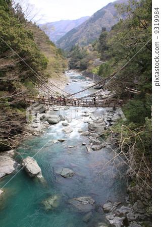 Tokushima prefecture Miyoshi City, "Iya's Kazura Bridge" Tokushima prefecture Miyoshi City, "Iya's Kazura Bridge" 9319984