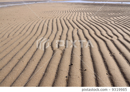 淺灘，（瀨戶內海國家公園，Kanonji市有明海灘） 9319985
