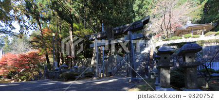 四國外國人Senkyu佛(15號)“筷子寺(Konpira Okunoin)”秋葉的方法(左下 - Mamoru - dono,石階 - Omotoe) 四國外國人Senkyu佛(15號)“筷子寺(Konpira Okunoin)”秋葉的方法(左下 - Mamoru - dono,石階 - Omotoe) 9320752