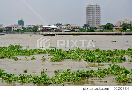 Chao Phraya River in the rainy season (Bangkok, Thailand) 9320884
