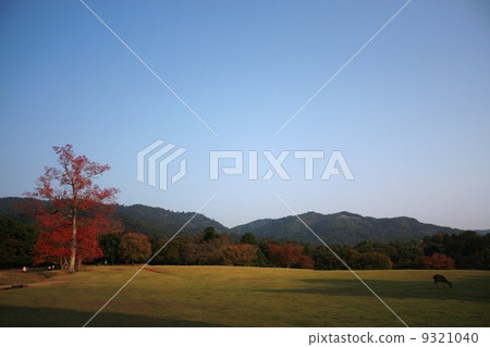 Nara Park Jikuen Nara Park Jikuen 9321040