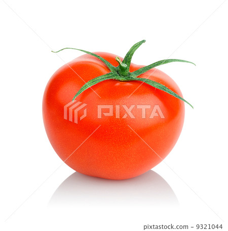 ripe tomato ripe tomato 9321044