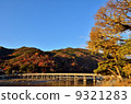 Early morning Arashiyama 9321283