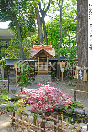 埼玉秩父神社 埼玉秩父神社 9322447