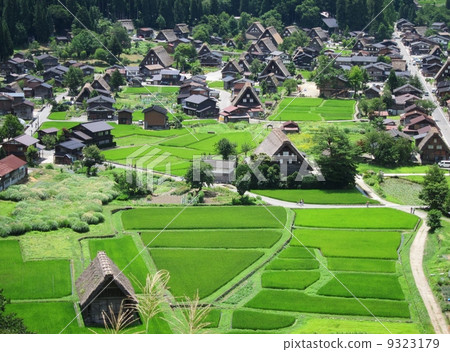 岐阜縣白川鄉合掌造村、城址展望台的風景、世界遺產 9323179