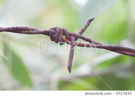 Old rusty barb wire Old rusty barb wire 9323641