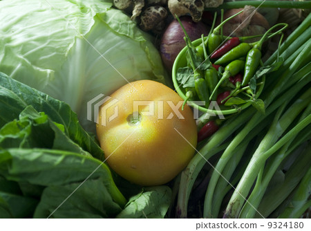 various tropical vegetables 9324180