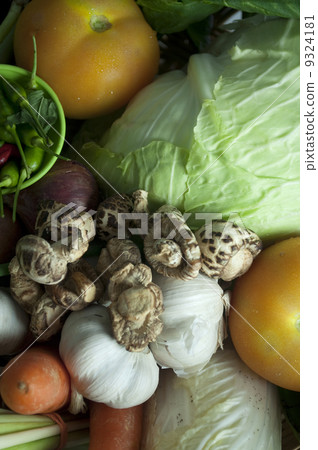 close up shot of vegetables 9324181