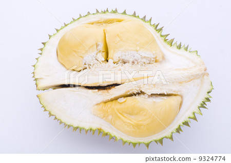 durian,tropical fruit 9324774