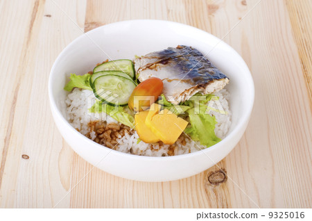 bento 9325016