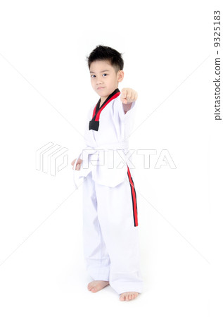 Taekwondo action by a asian cute boy Taekwondo action by a asian cute boy 9325183