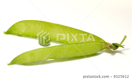 Pea and pod isolated on white 9325612