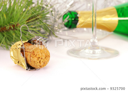 Champagne celebration Champagne celebration 9325700