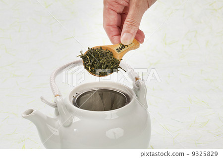 日本茶·綠茶·茶壺 9325829