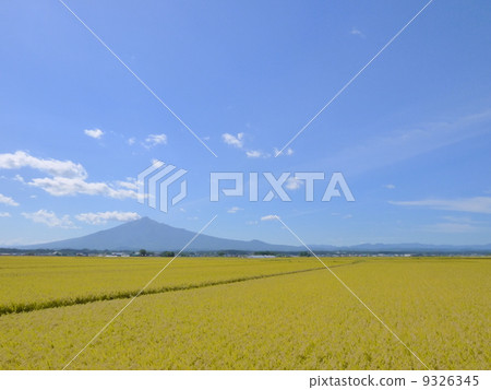 津輕平原和岩山山 9326345