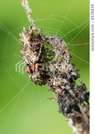 Garbage Garbage 9326839