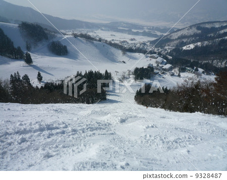 Specialty Schneider course at Nozawaonsen ski area 9328487