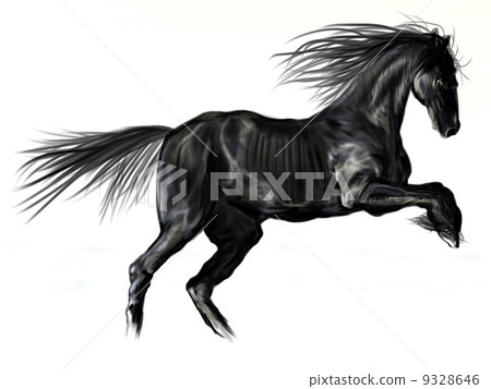 Black horse Black horse 9328646