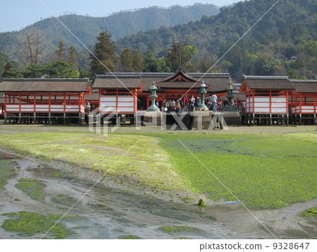 Aki's Miyajima Itsukushima Shrine Shrine low tide Aki's Miyajima Itsukushima Shrine Shrine low tide 9328647