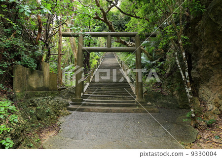 Shirumichu on Hamahiga Island 9330004