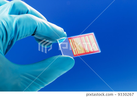 chromatography genetic fingerprinting 9330267