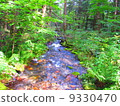 River 9330470