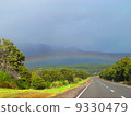 Rainbow  9330479