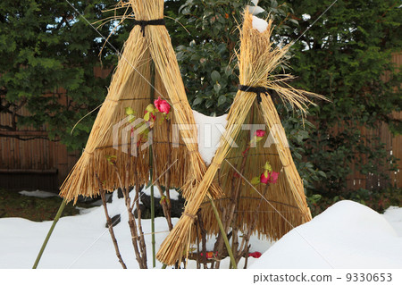 Cold button (frosted fish) Cold button (frosted fish) 9330653