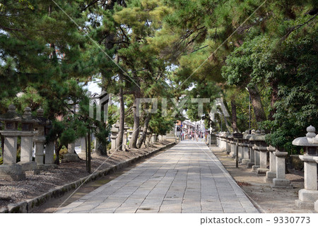 滋賀縣長濱八幡宮 9330773