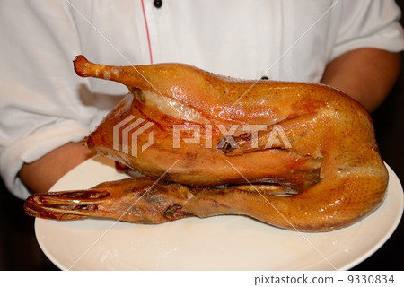 Taiwan Beijing duck 9330834