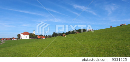 世界遺產德國維斯'朝聖協會全景 9331225