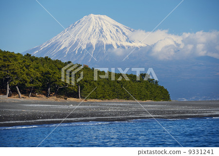 松原美穗 9331241