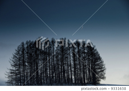 Airborne and Venus Airborne and Venus 9331638