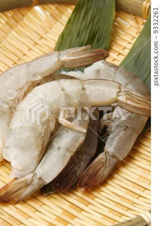 南美白對蝦 9332261