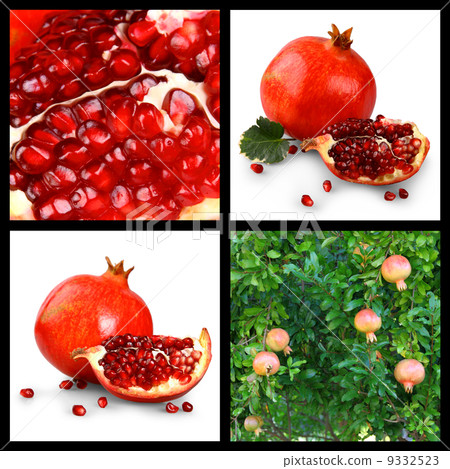 Collage of pomegranates, pomegranate tree and grains Collage of pomegranates, pomegranate tree and grains 9332523