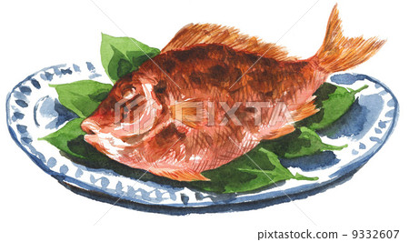 grilled sea bream, gift of sea bream, new year's cuisine 9332607
