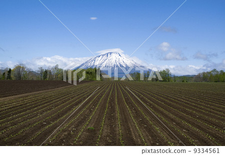 羊蹄山 羊蹄山 9334561