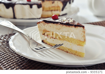 Piece of souffle cake 9335171