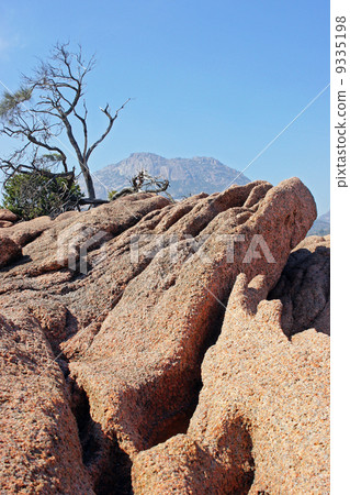Freycinet NP, Tasmania, Australia 9335198